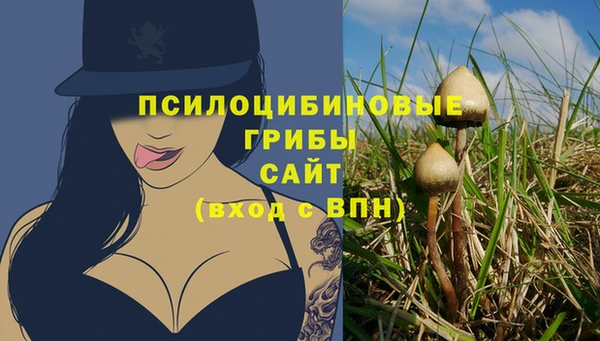 спиды Алексеевка