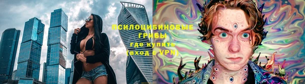 прущий лед Алзамай