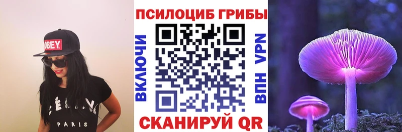 купить закладку  мега как войти  Псилоцибиновые грибы GOLDEN TEACHER  Ишим 